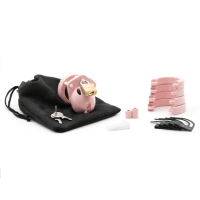 Mini-Me | Pink Kit with 1 1/4" Cage Length | CB-X - Boink Adult Boutique www.boinkmuskoka.com Canada