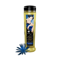 Erotic Massage Oil - Various Scents by Shunga - Boink Adult Boutique www.boinkmuskoka.com Canada