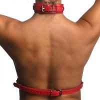 Female Chest Harness | Red Vegan Leather M/L | Strict - Boink Adult Boutique www.boinkmuskoka.com Canada