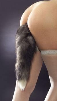 Fox Tail Anal Plug by Tailz - Boink Adult Boutique www.boinkmuskoka.com Canada